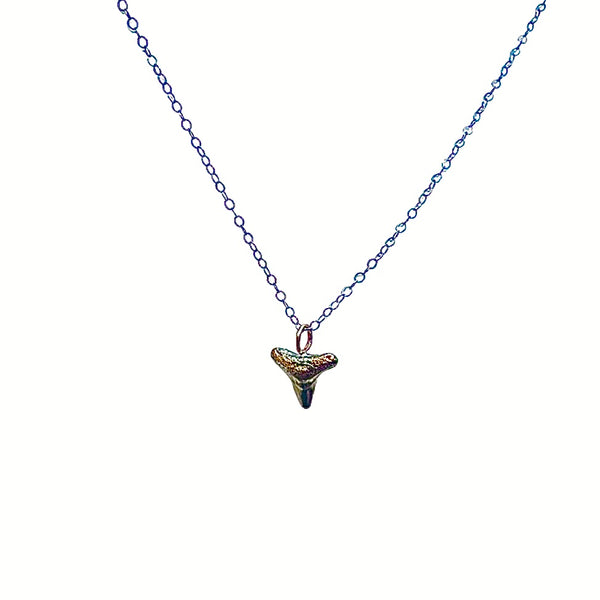 FullSizeRender_b5043bec-0086-