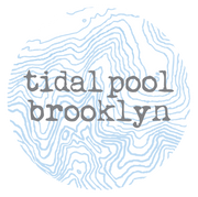 Tidal Pool Brooklyn