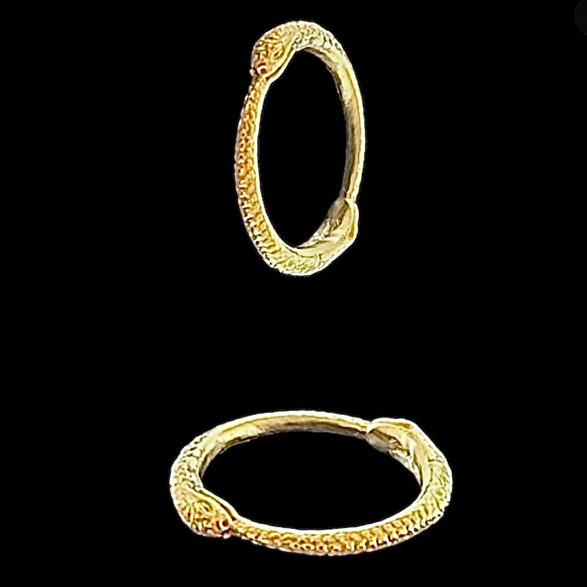 Double Ouroboros ring in brass