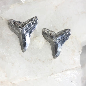 Sterling silver shark tooth stud earring